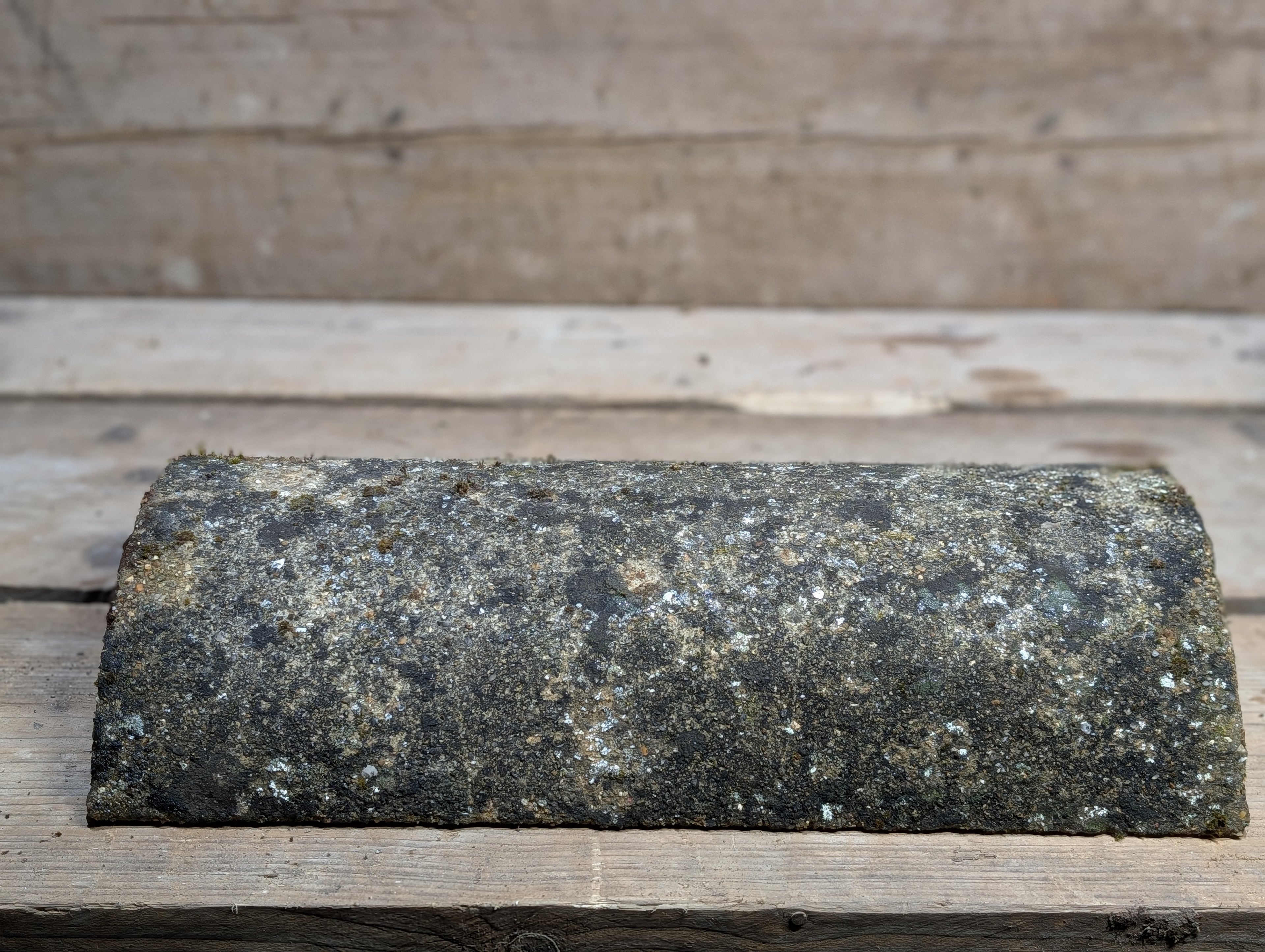 Segmental reclaimed Ridge image 1
