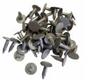 Extra Large Head Galvanised Clout Nails