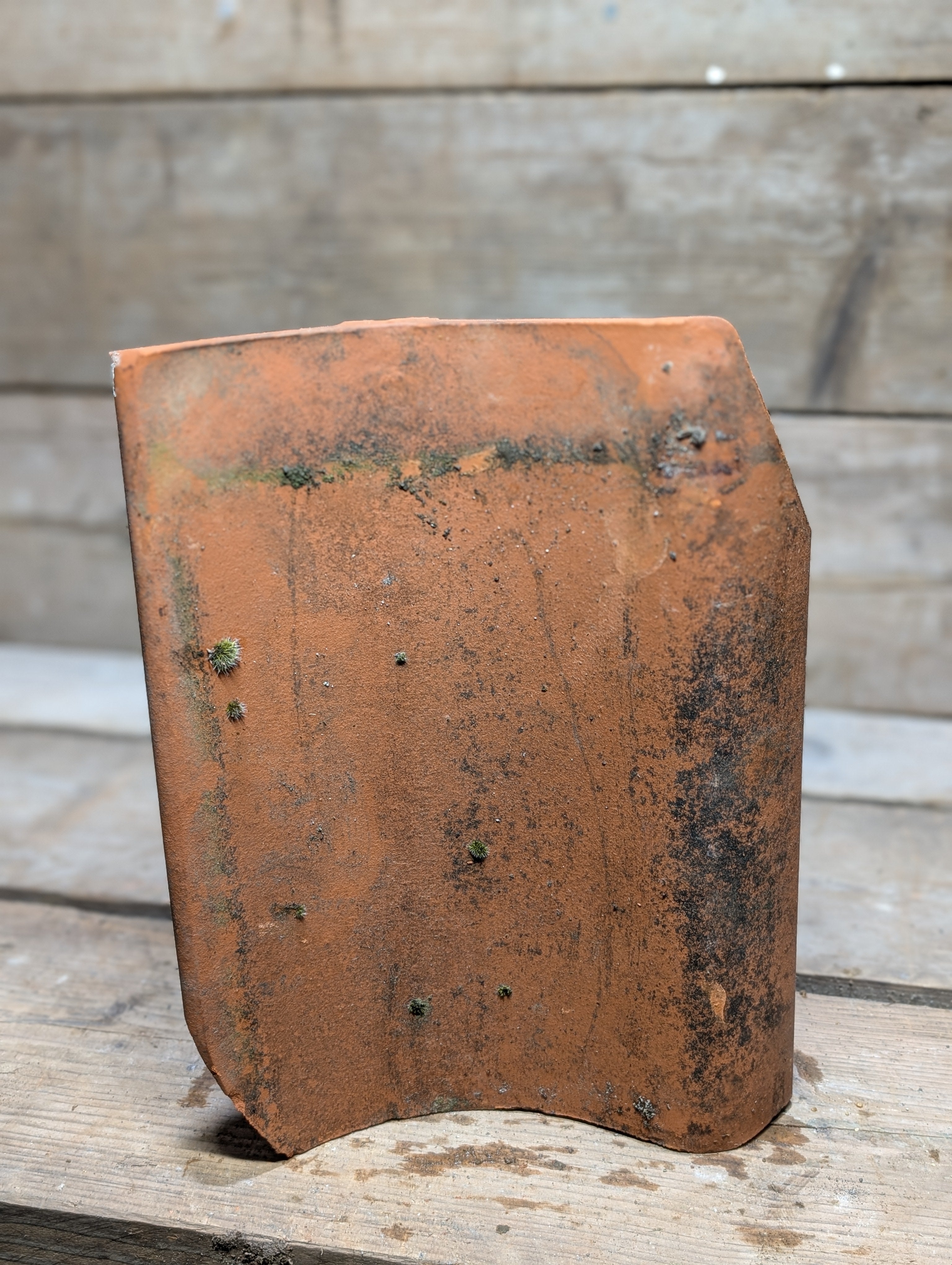 Clay Pantile - Reclaim image 0