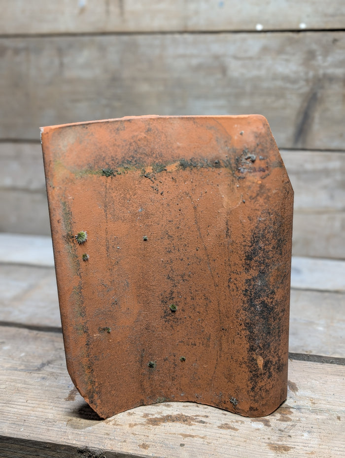 Clay Pantile - Reclaim